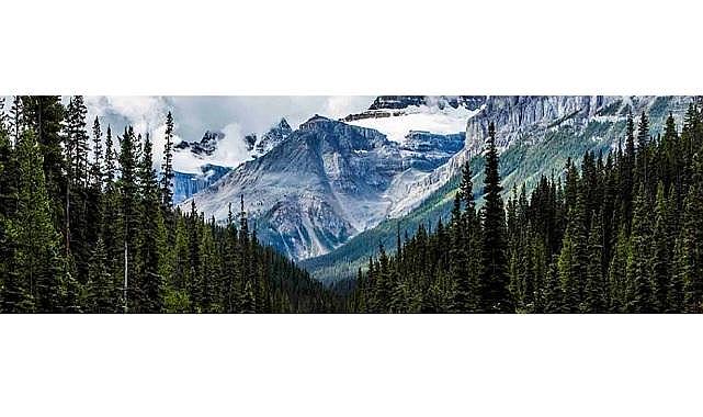 Enerji Dönüşümü Araştırması - &#039;&#039;Yöneticiler yatırıma sıcak bakarken tüketiciler temkinli!