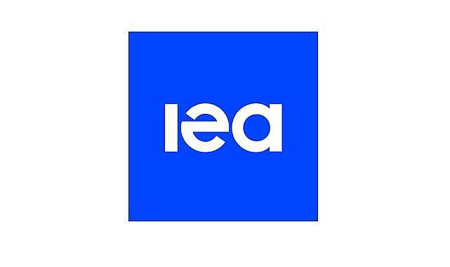 Küresel Enerji Verimliliği Konferansı - IEA!