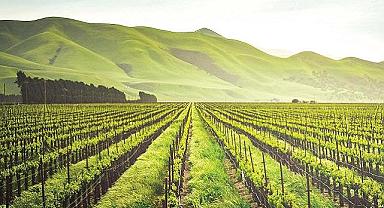 Suyun yüzde 77'si tarımsal üretimde kullanılıyor - Sulama İçin Yağmur Hasadı Şart!