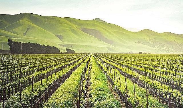 Suyun yüzde 77&#039;si tarımsal üretimde kullanılıyor - Sulama İçin Yağmur Hasadı Şart!