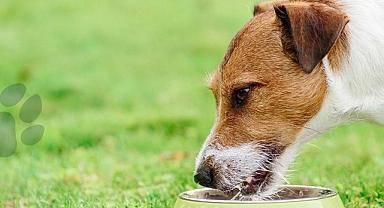 Aksa Doğalgaz - Unutmayalım…