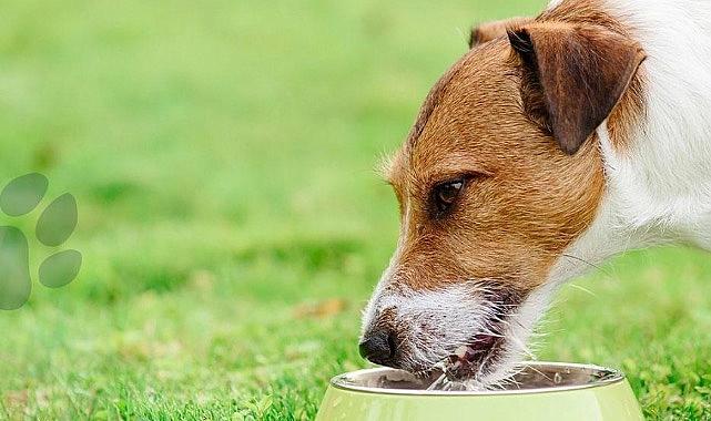 Aksa Doğalgaz - Unutmayalım…