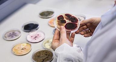 Gıda israfı KARBON ayak izini artırıyor - Ne yapmalı?