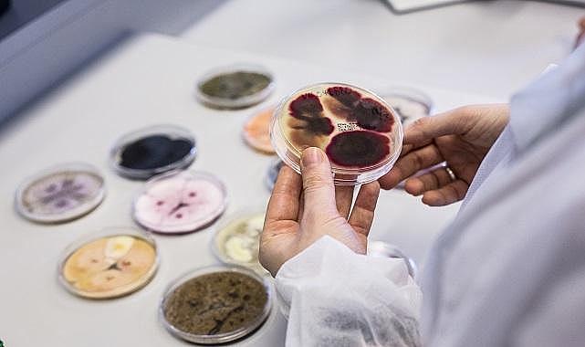 Gıda israfı KARBON ayak izini artırıyor - Ne yapmalı?