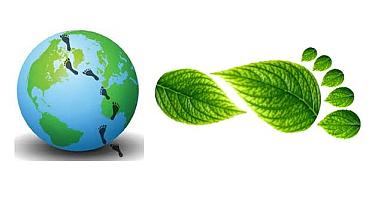 Karbon ayak izi nedir? Karbon ayak izi nasıl ölçülür ve azaltılır?