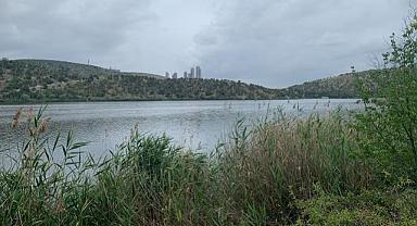 ODTÜ Eymir - Doğal meyveleri…