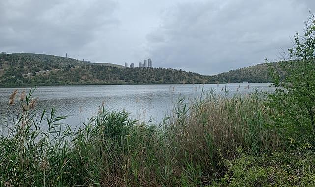 ODTÜ Eymir - Doğal meyveleri…