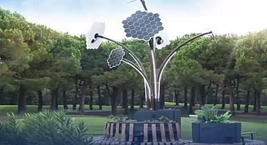 Yerli üretim - SOLAR palmiye!