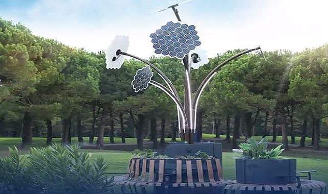 Yerli üretim - SOLAR palmiye!