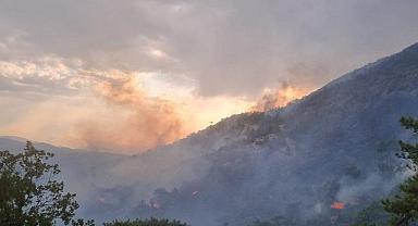SEDAŞ - “Bolu’da orman yangınına karşı…”