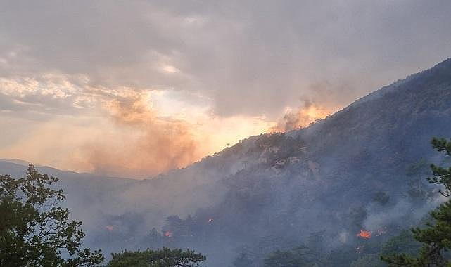SEDAŞ - “Bolu’da orman yangınına karşı…”