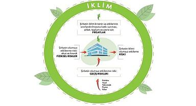 Şirketler için İKLİM Raporlama Rehberi!