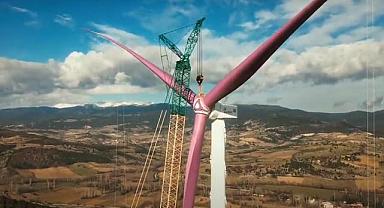Turkish company paints wind turbine blades purple - Why?