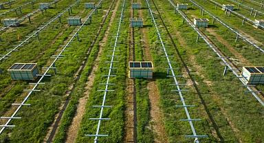bp - Yeni GÜNEŞ enerjisi projesinin inşaatına başladı!