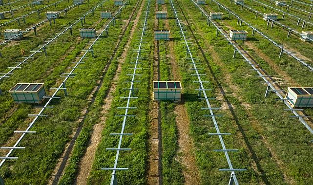 bp - Yeni GÜNEŞ enerjisi projesinin inşaatına başladı!