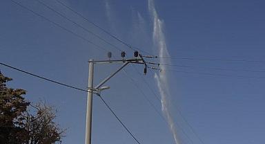 Elektrik hatlarında temizlik zamanı!