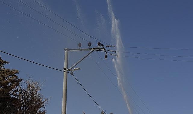 Elektrik hatlarında temizlik zamanı!