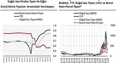 'Enerji İthalat Fiyatlarının Son Dönem Seyri ve Belirleyicileri'' - Merkez bankası hazırladı!