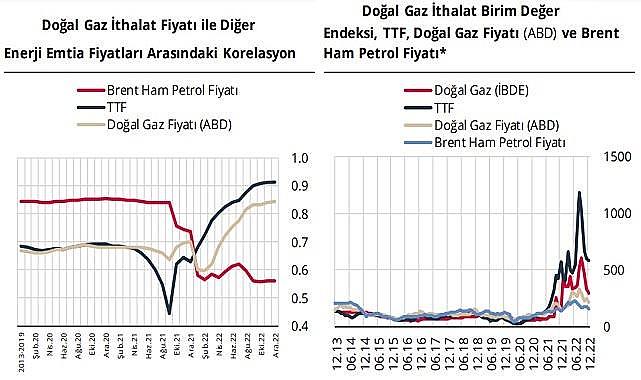 &#039;Enerji İthalat Fiyatlarının Son Dönem Seyri ve Belirleyicileri&#039;&#039; - Merkez bankası hazırladı!