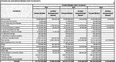 Enerji KİT'leri de var - Yatırım Ödenek Teklif Tavanları!