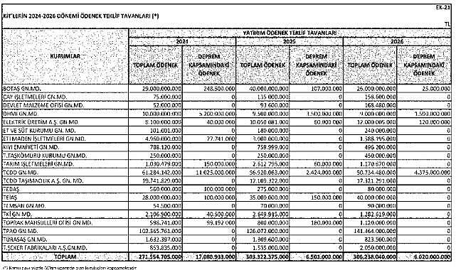 Enerji KİT&#039;leri de var - Yatırım Ödenek Teklif Tavanları!
