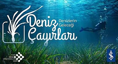 Marmara’nın son oksijen deposu kayıt ve koruma altına alınıyor - Türkiye İş Bankası!