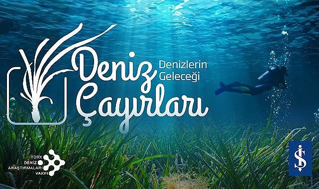 Marmara’nın son oksijen deposu kayıt ve koruma altına alınıyor - Türkiye İş Bankası!