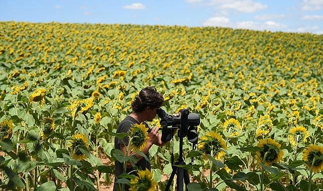 Türkiye’nin önemli Doğa Alanları Envanteri güncelleniyor - Doğa Derneği!