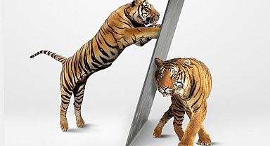 Doğaya - Çevreye - Dünyaya Katkı İçin "Önce Tasarruf"