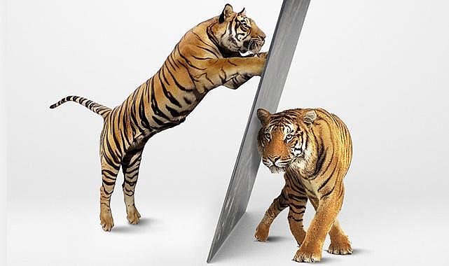 Doğaya - Çevreye - Dünyaya Katkı İçin &quot;Önce Tasarruf&quot;