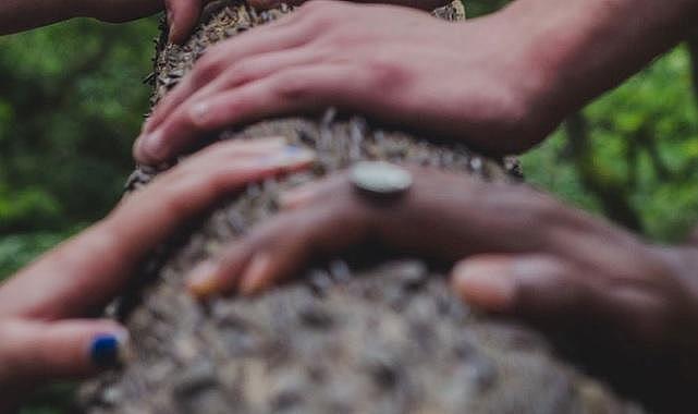 ENERJİ DÜNYASI - &#039;&#039;Küresel İflas Raporu&#039;&#039; yayınlandı!