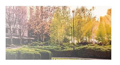 Enerji ve Emisyon Yönetimi de var- 2022 Sürdürülebilirlik Raporu'nu yayımladı!