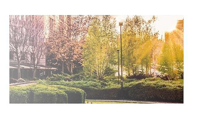 Enerji ve Emisyon Yönetimi de var- 2022 Sürdürülebilirlik Raporu&#039;nu yayımladı!