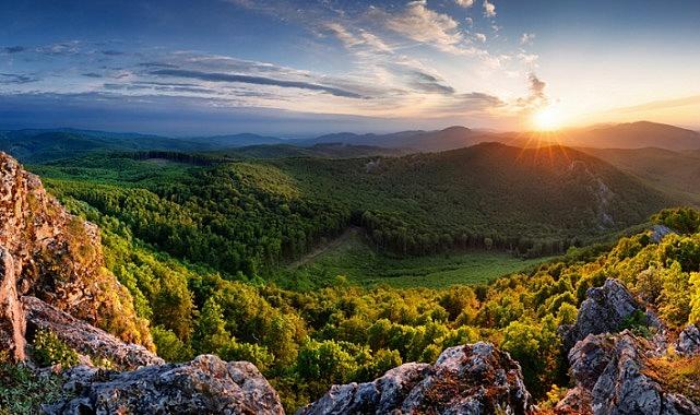 Schneider Electric - “Sürdürülebilirlik Etki Ödülleri” başvuruları başladı!