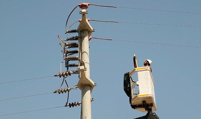 Toroslar EDAŞ - Göçmen kuşları yalıtımlı hatlarında ağırladı!