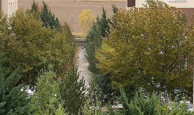 DİKKAT &#039;&#039;Rüzgar ve Fırtına&#039;&#039; - &#039;Kendimizi, evimizi, arabamızı vb nasıl koruruz?&#039;&#039;