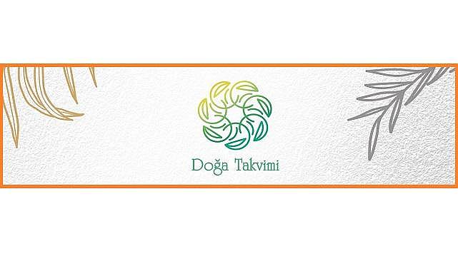 Kasım ayı &#039;&#039;Doğa Takvimi&#039;&#039; - Aksa Doğalgaz hazırladı!