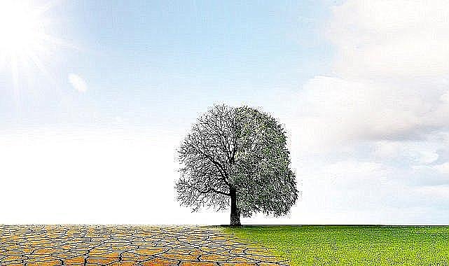 Konu &#039;&#039;İklim Değişikliği ve Sağlığa Etkileri&#039;&#039;