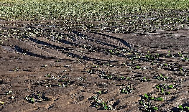 TEMA Vakfı -  Erozyonla Mücadele Haftası&#039;nı &quot;Türkiye Çöl Olmasın&quot; sloganıyla karşılıyor!