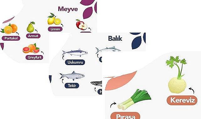 Aralık ayında HANGİ &#039;Balık - sebze - meyve&#039; yenir? AKSA Doğalgaz hazırladı!