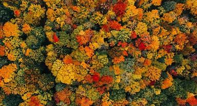 ''iklim - biyoçeşitlilik, kirlilik ve doğa''