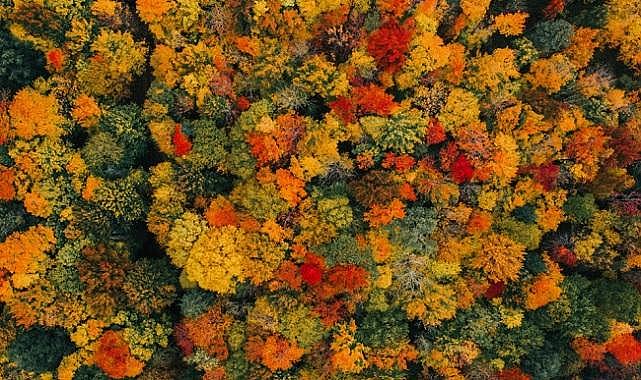 &#039;&#039;iklim - biyoçeşitlilik, kirlilik ve doğa&#039;&#039;