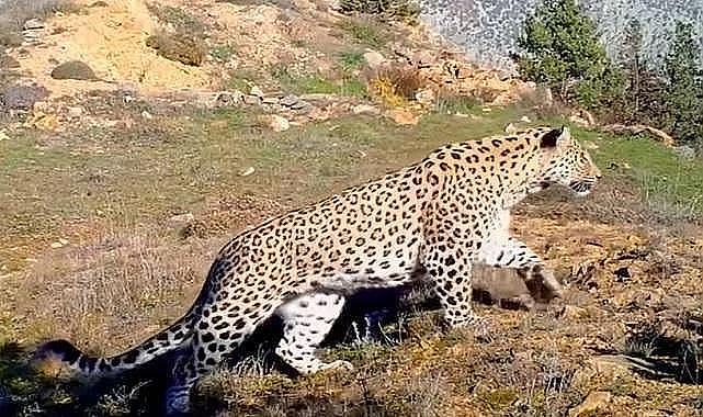 Kazancı Holding ve Isparta Uygulamalı Bilimler Üniversitesi - &#039;&#039;Anadolu parsının&#039;&#039; korunması için çalışacak!