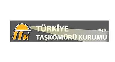 Taşkömürü sahasını ihaleye çıkardı!