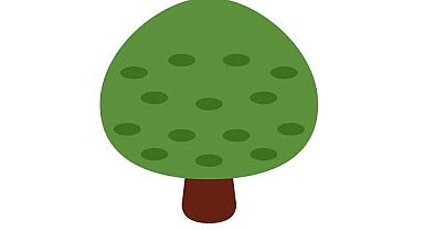 Enerji Bakanı Bayraktar - Hem ülkemiz hem dünyamız kazansın!