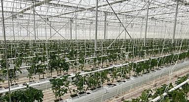 Konya Jeotermal - Topraksız tarımın…