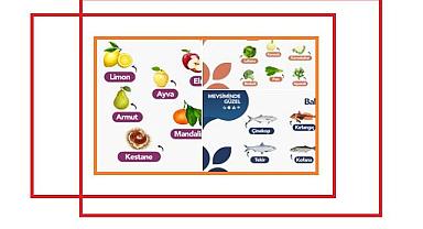 Ocak ayında ne yenir? - Aksa Doğalgaz hazırladı!
