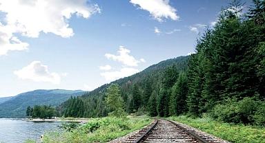 YAYINLANDI - Konu ''Kalkınma ve Karbonsuzlaşma'' raporu!