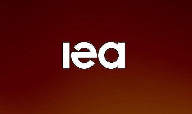 &#039;&#039;Yenilenebilir Enerji - DAVOS ve Petrol&#039;&#039; konulu önemli değerlendirmeler yaptı - Uluslararası Enerji Ajansı!