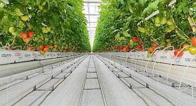 Topraksız tarım ürünleri ihracatına başladı - EVSEL atıklardan ürettiği elektriği kullanıyor!